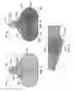 Fig. 04 - Marine propulsion system