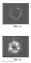 Fig. 02 - Translucent seal cap