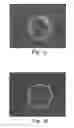 Fig. 03 - Translucent seal cap