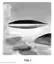 Fig. 02 - Centripetal aerodynamic platform spacecraft