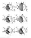 Fig. 08 - DEVICE CONTAINING FIRST, SECOND AND THIRD POLYMERS