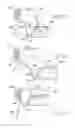 Fig. 11 - FULL APERTURE BEVERAGE END