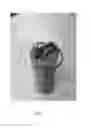 Fig. 03 - Fluid container with axis straw