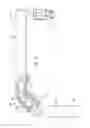 Fig. 07 - Conveyor with integrated dust collector system