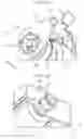 Fig. 10 - Sheet feeding device and image forming apparatus