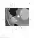Fig. 09 - Elevator overspeed governor with automatic reset