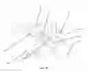 Fig. 11 - Link-less cargo hook assembly