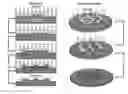 Fig. 01 - Scalable nucleic acid-based nanofabrication