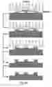Fig. 18 - Scalable nucleic acid-based nanofabrication