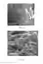 Fig. 04 - Continuous process for preparing pristine graphene nanoplatelets