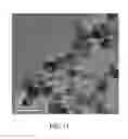 Fig. 07 - METHOD FOR PREPARING NANOPARTICLES BY USING LASER
