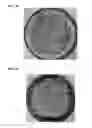 Fig. 32 - ADHESIVE COMPOSITIONS WITH TUNABLE RHEOLOGICAL PROPERTIES