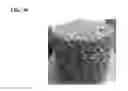 Fig. 33 - ADHESIVE COMPOSITIONS WITH TUNABLE RHEOLOGICAL PROPERTIES