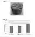 Fig. 34 - ADHESIVE COMPOSITIONS WITH TUNABLE RHEOLOGICAL PROPERTIES