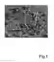 Fig. 02 - FIRE-RESISTANT CERAMIC PRODUCT