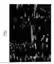 Fig. 07 - Ceramic composite structures and processing technologies