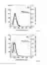 Fig. 06 - Apparatus and method for the production of foam