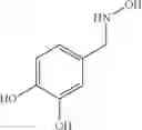 Fig. 11 - Nitrone compounds and their use in personal care