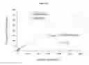 Fig. 12 - IMAGING AGENTS