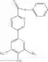 Fig. 119 - Small Molecules That Covalently Modify Transthyretin