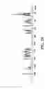 Fig. 30 - Salt forms of [R—(R*,R*)]-2-(4-fluorophenyl)-β,δ-dihydroxy-5-(1-methylethyl)3-phenyl-4-[(phenylamino)carbonyl]-1H-pyrrole-1-hepatonic acid
