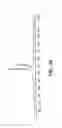 Fig. 31 - Salt forms of [R—(R*,R*)]-2-(4-fluorophenyl)-β,δ-dihydroxy-5-(1-methylethyl)3-phenyl-4-[(phenylamino)carbonyl]-1H-pyrrole-1-hepatonic acid