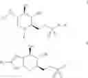 Fig. 17 - Sugar Derivatives Comprising Sulfur-Containing Moieties And Methods Of Making Same And Methods Of Using The Same For The Treatment Of MPS IIIC