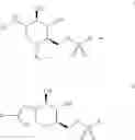 Fig. 23 - Sugar Derivatives Comprising Sulfur-Containing Moieties And Methods Of Making Same And Methods Of Using The Same For The Treatment Of MPS IIIC