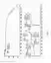 Fig. 13 - Crystalline forms of a prolyl hydroxylase inhibitor