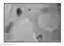 Fig. 01 - Unique self-assembled poly-amidoamine polymers and their electrochemical reactivity