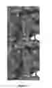 Fig. 02 - Selective matrix metalloproteinase inhibitors