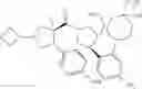 Fig. 146 - Pyrrolidine compound and application as melanocortin receptor agonist