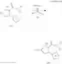 Fig. 15 - Pyrrolidine compound and application as melanocortin receptor agonist