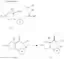 Fig. 19 - Pyrrolidine compound and application as melanocortin receptor agonist