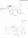 Fig. 327 - Pyrrolidine compound and application as melanocortin receptor agonist