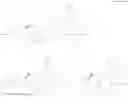 Fig. 443 - Pyrrolidine compound and application as melanocortin receptor agonist
