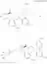 Fig. 48 - Pyrrolidine compound and application as melanocortin receptor agonist