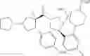 Fig. 65 - Pyrrolidine compound and application as melanocortin receptor agonist