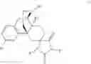Fig. 16 - Spirocyclic morphinans and use thereof