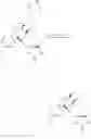 Fig. 61 - Spirocyclic morphinans and use thereof