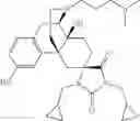 Fig. 94 - Spirocyclic morphinans and use thereof