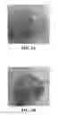 Fig. 03 - Pharmaceutical compositions comprising perillyl alcohol derivatives