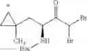Fig. 447 - Pyridine derivative