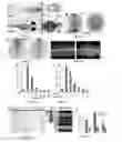 Fig. 02 - Compounds and methods for inhibition of hedgehog signaling and phosphodiesterase