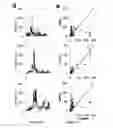 Fig. 05 - Compounds and methods for inhibition of hedgehog signaling and phosphodiesterase