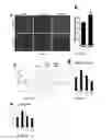 Fig. 06 - Compounds and methods for inhibition of hedgehog signaling and phosphodiesterase