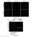 Fig. 13 - Compounds and methods for inhibition of hedgehog signaling and phosphodiesterase
