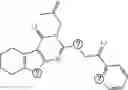 Fig. 202 - Compounds and methods for inhibition of hedgehog signaling and phosphodiesterase
