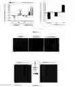 Fig. 28 - Compounds and methods for inhibition of hedgehog signaling and phosphodiesterase