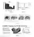 Fig. 37 - Compounds and methods for inhibition of hedgehog signaling and phosphodiesterase